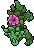 Peony
