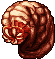 Rift Worm